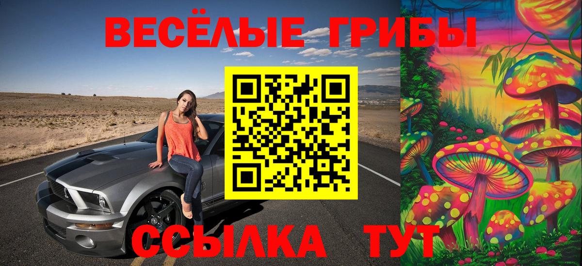 Добрянка  Псилоцибиновые грибы ЛСД  Вход с VPN 
