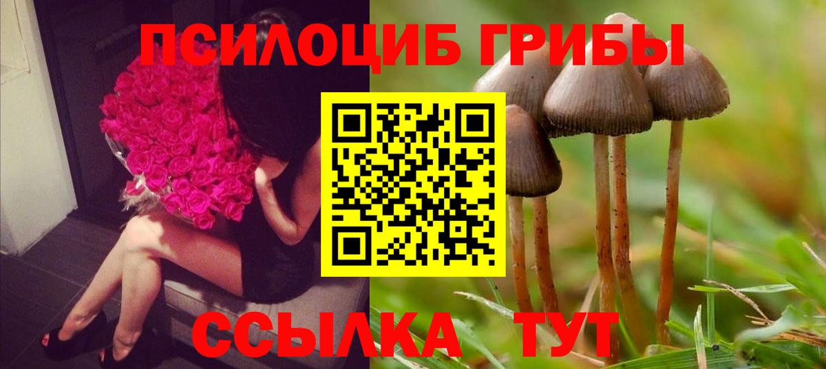 Кодеин Добрянка